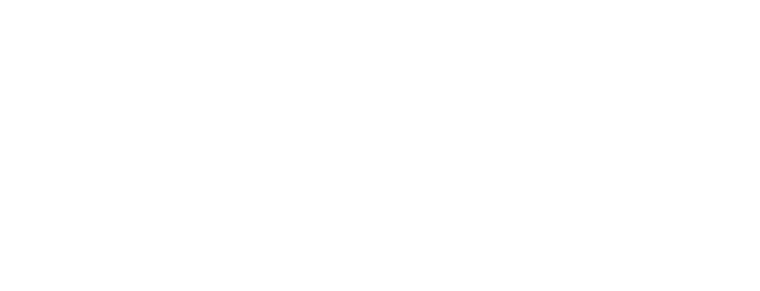 Salon Blonde White Logo